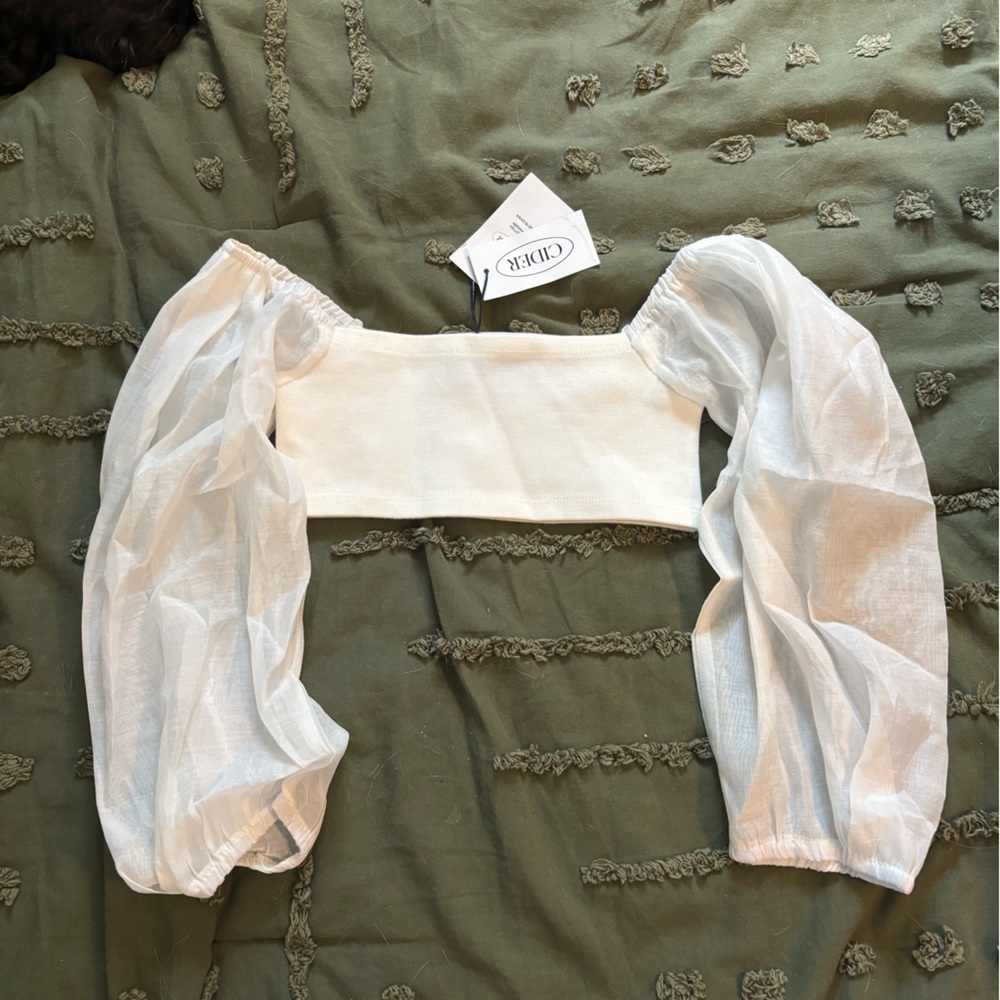 Cider cropped top